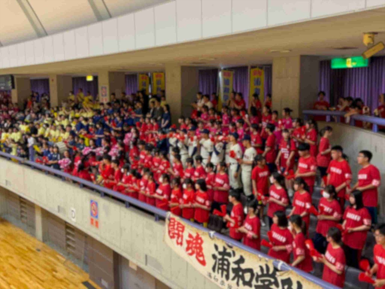 ハンドホール県予選優勝7